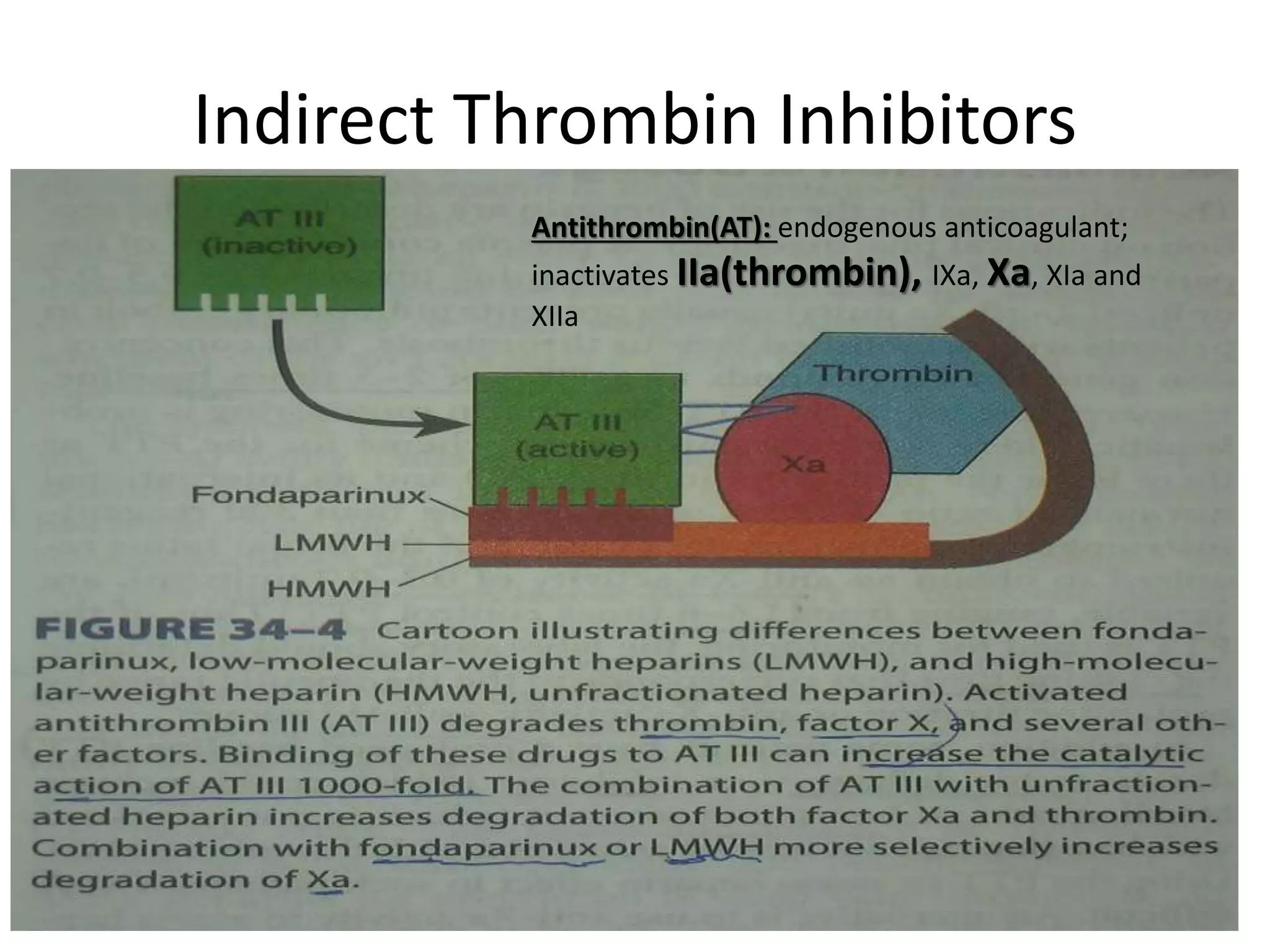 Indirect Thrombin Inhibitors
Antithrombin(AT): endogenous anticoagulant;
inactivates IIa(thrombin), IXa, Xa, XIa and
XIIa
 