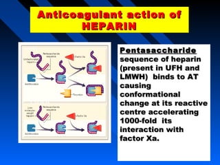 Anticoagulant action ofAnticoagulant action of
HEPARINHEPARIN
Anticoagulant action ofAnticoagulant action of
HEPARINHEPARIN
PentasaccharidePentasaccharide
sequence of heparinsequence of heparin
(present in UFH and(present in UFH and
LMWH) binds to ATLMWH) binds to AT
causingcausing
conformationalconformational
change at its reactivechange at its reactive
centre acceleratingcentre accelerating
1000-fold its1000-fold its
interaction withinteraction with
factor Xa.factor Xa.
LMWH
UFH
 
