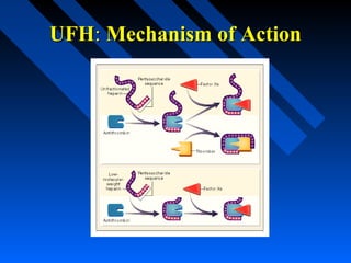 UFHUFH:: Mechanism of ActionMechanism of Action
 