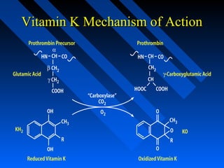Vitamin K Mechanism of ActionVitamin K Mechanism of Action
 