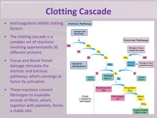 Clotting Cascade
• Anticoagulants inhibit clotting
factors
• The clotting cascade is a
complex set of reactions
involving approximately 30
different proteins.
• Tissue and Blood Vessel
damage stimulate the
Intrinsic and Extrinsic
pathways, which converge at
factor Xa activation.
• These reactions convert
fibrinogen to insoluble
strands of fibrin, which,
together with platelets, forms
a stable clot.
 