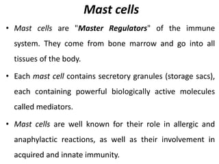 Mast cells
• Mast cells are "Master Regulators" of the immune
system. They come from bone marrow and go into all
tissues of the body.
• Each mast cell contains secretory granules (storage sacs),
each containing powerful biologically active molecules
called mediators.
• Mast cells are well known for their role in allergic and
anaphylactic reactions, as well as their involvement in
acquired and innate immunity.
 