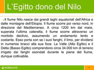 *
●Il fiume Nilo nasce dai grandi laghi equatoriali dell’Africa e
dalle montagne dell’Etiopia. Il fiume scorre poi verso nord, in
direzione del Mediterraneo. A circa 1200 km dal mare,
superata l’ultima cateratta, il fiume scorre attraverso un
morbido declivio, assumendo un andamento lento e
costante. Esso porta con se i suoi fanghi, il limo, per dividersi
in numerosi bracci alla sua foce. La Valle (Alto Egitto) e il
Delta (Basso Egitto) comprendono circa 34.000 km di
terreno irrigato dai fanghi esondati durante le piene del
fiume, dunque coltivabile.
L’Egitto dono del Nilo
 
