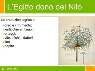 *
Le produzioni agricole
●orzo e il frumento;
●lenticchie e i fagioli;
●ortaggi;
●vite, i fichi, i datteri
●lino
●papiro
L’Egitto dono del Nilo
 