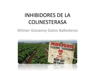 INHIBIDORES DE LA
COLINESTERASA
Wilmer Giovanny Galvis Ballesteros
 