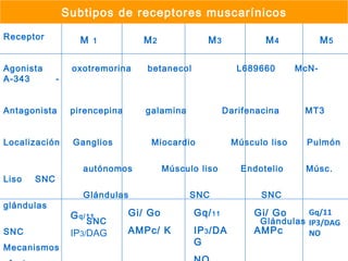 Subtipos de receptores muscarínicos Receptor  Agonista  oxotremorina  betanecol  L689660  McN-A-343  - Antagonista  pirencepina  galamina  Darifenacina  MT3 Localización  Ganglios  Miocardio  Músculo liso  Pulmón  autónomos  Músculo liso  Endotelio  Músc. Liso  SNC Glándulas  SNC  SNC  glándulas SNC  Glándulas  SNC Mecanismos efectores G q/11 IP 3/ DAG Gi/ Go AMPc/ K Gq/ 11 IP 3 /DAG NO Gi/ Go AMPc Gq/11 IP3/DAG NO M  1 M  2 M 2 M 3 M 4 M 5 