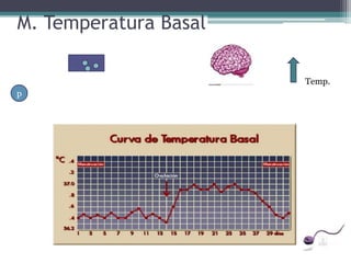 M. Temperatura Basal

                       Temp.
p
 