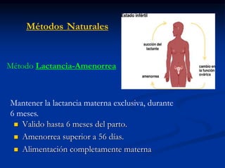 Métodos Naturales
 Valido hasta 6 meses del parto.
 Amenorrea superior a 56 días.
 Alimentación completamente materna
Método Lactancia-Amenorrea
Mantener la lactancia materna exclusiva, durante
6 meses.
 