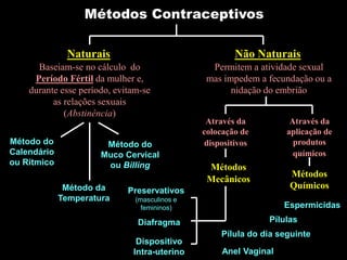 Métodos Contraceptivos
Naturais
Baseiam-se no cálculo do
Período Fértil da mulher e,
durante esse período, evitam-se
as relações sexuais
(Abstinência)
Não Naturais
Permitem a atividade sexual
mas impedem a fecundação ou a
nidação do embrião
Método do
Calendário
ou Rítmico
Método da
Temperatura
Método do
Muco Cervical
ou Billing
Através da
colocação de
dispositivos
Através da
aplicação de
produtos
químicos
Métodos
Mecânicos
Métodos
Químicos
Preservativos
(masculinos e
femininos)
Diafragma
Dispositivo
Intra-uterino
Espermicidas
Pílulas
Anel Vaginal
Pílula do dia seguinte
 