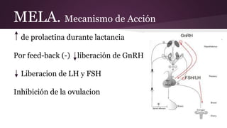 MELA. Mecanismo de Acción
de prolactina durante lactancia
Por feed-back (-) liberación de GnRH
Liberacion de LH y FSH
Inhi...