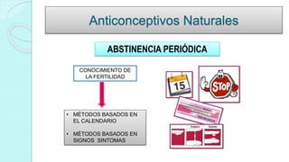 Anticonceptivos Naturales
ABSTINENCIA PERIÓDICA
CONOCIMIENTO DE
LA FERTILIDAD
• MÉTODOS BASADOS EN
EL CALENDARIO
• MÉTODOS BASADOS EN
SIGNOS SINTOMAS
 