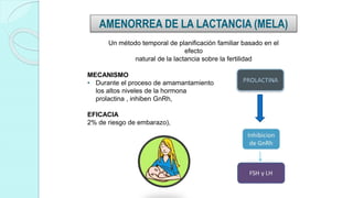 AMENORREA DE LA LACTANCIA (MELA)
MECANISMO
• Durante el proceso de amamantamiento
los altos niveles de la hormona
prolactina , inhiben GnRh,
EFICACIA
2% de riesgo de embarazo),
Un método temporal de planificación familiar basado en el
efecto
natural de la lactancia sobre la fertilidad
 