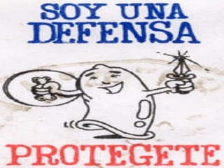 Enfermedades Chlamydia Gonorrea Hepatitis B Herpes (oral y Genital) SIDA. Papiloma virus humano. Mulluscum Contagioso Ladillas. Enfermedad Inflamatoria pélvica. 