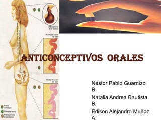 Anticonceptivos  Orales  Néstor Pablo Guarnizo B. Natalia Andrea Bautista B. Edison Alejandro Muñoz A. Juan Sebastián Ávila L.  