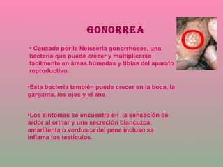 GONORREA Causada por la Neisseria gonorrhoeae, una bacteria que puede crecer y multiplicarse fácilmente en áreas húmedas y tibias del aparato reproductivo. Esta bacteria también puede crecer en la boca, la garganta, los ojos y el ano . Los síntomas se encuentra en  la sensación de ardor al orinar y una secreción blancuzca, amarillenta o verdusca del pene incluso se inflama los testículos. 