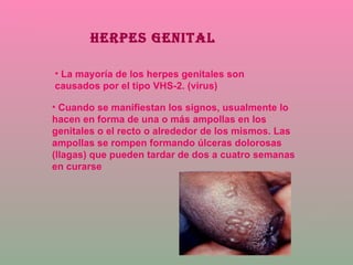 HERPES GENITAL La mayoría de los herpes genitales son causados por el tipo VHS-2. (virus) Cuando se manifiestan los signos, usualmente lo hacen en forma de una o más ampollas en los genitales o el recto o alrededor de los mismos. Las ampollas se rompen formando úlceras dolorosas (llagas) que pueden tardar de dos a cuatro semanas en curarse  
