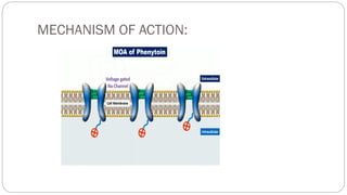 MECHANISM OF ACTION:
 