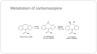 Metabolism of carbamazepine
 