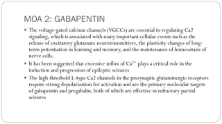 MOA 2: GABAPENTIN
 The voltage-gated calcium channels (VGCCs) are essential in regulating Ca2
signaling, which is associated with many important cellular events such as the
release of excitatory glutamate neurotransmitters, the plasticity changes of long-
term potentiation in learning and memory, and the maintenance of homeostasis of
nerve cells.
 It has been suggested that excessive influx of Ca2+ plays a critical role in the
induction and progression of epileptic seizures
 The high-threshold L-type Ca2 channels in the presynaptic glutaminergic receptors
require strong depolarization for activation and are the primary molecular targets
of gabapentin and pregabalin, both of which are effective in refractory partial
seizures
 