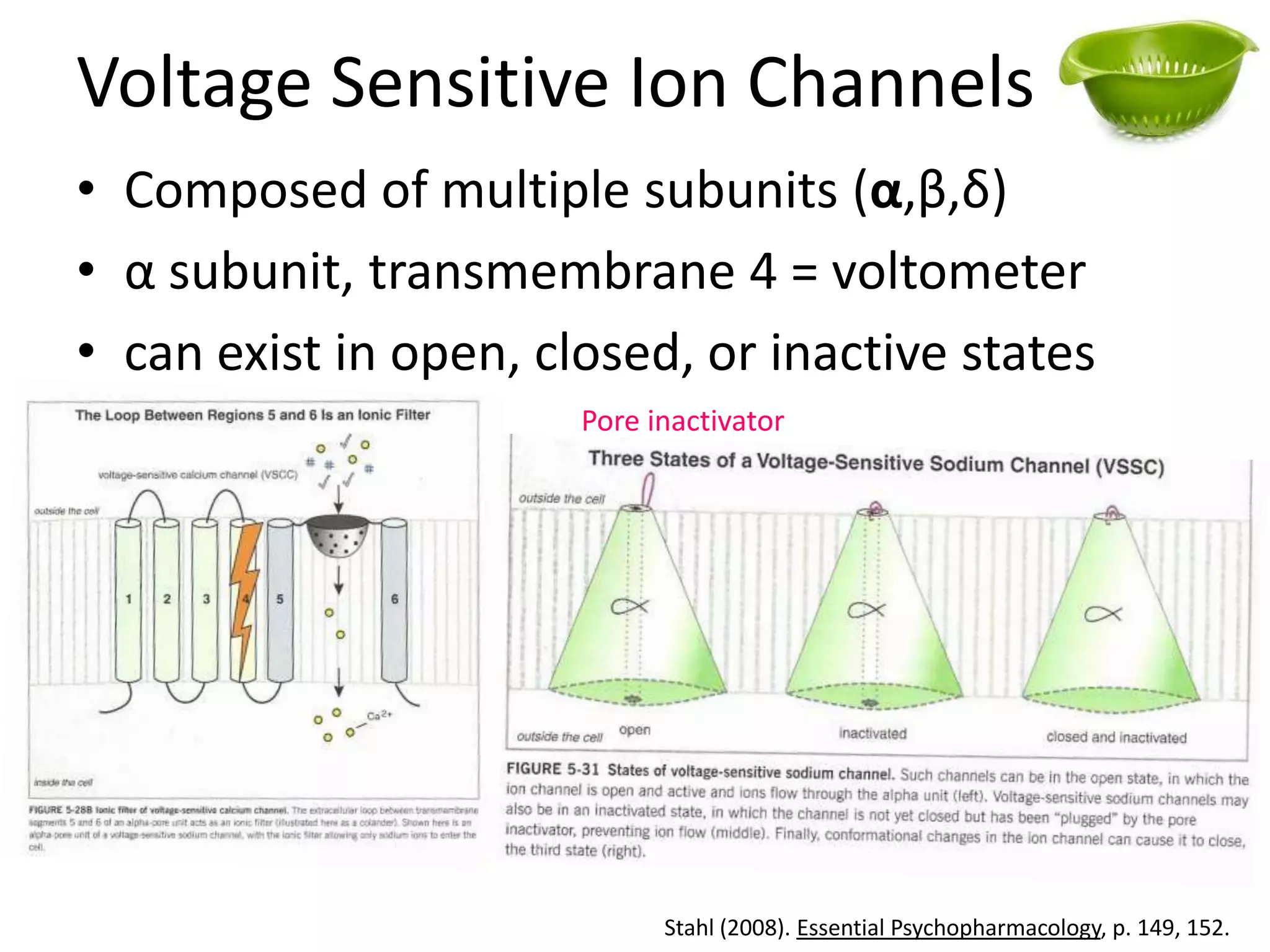 Voltage Sensitive Ion Channels
• Composed of multiple subunits (α,β,δ)
• α subunit, transmembrane 4 = voltometer
• can exist in open, closed, or inactive states
                       Pore inactivator




                             Stahl (2008). Essential Psychopharmacology, p. 149, 152.
 