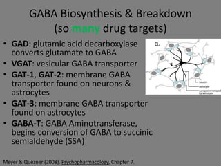 GABA Biosynthesis & Breakdown
              (so many drug targets)
• GAD: glutamic acid decarboxylase
  converts glutamate to GABA
• VGAT: vesicular GABA transporter
• GAT-1, GAT-2: membrane GABA
  transporter found on neurons &
  astrocytes
• GAT-3: membrane GABA transporter
  found on astrocytes
• GABA-T: GABA Aminotransferase,
  begins conversion of GABA to succinic
  semialdehyde (SSA)

Meyer & Quezner (2008). Psychopharmacology, Chapter 7.
 