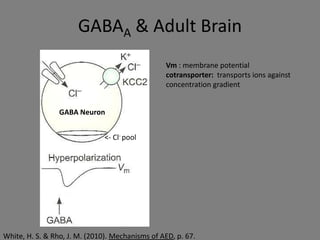GABAA & Adult Brain
                                                 Vm : membrane potential
                                                 cotransporter: transports ions against
                                                 concentration gradient


                 GABA Neuron


                               <- Cl- pool




White, H. S. & Rho, J. M. (2010). Mechanisms of AED, p. 67.
 