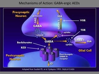 Mechanisms of Action: GABA-ergic AEDs
 