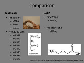 Comparison
Glutamate                      GABA
• Ionotropic                   • Ionotropic
   – NMDA                           – GABAA
   – AMPA
   – kainate                   • Metabotropic
• Metabotropic                      – GABAB
   –   mGluR1
   –   mGluR2
   –   mGluR3
   –   mGluR4                        GABA
   –   mGluR5
   –   mGluR6
   –   mGluR7
   –   mGluR8
                 AMPA: α-amino-3-hydroxy-5-methyl-4-isoxazolepropionic acid
 
