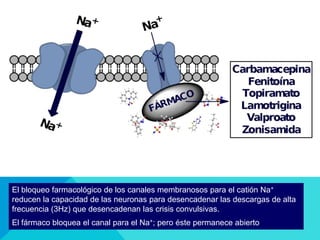 El bloqueo farmacológico de los canales membranosos para el catión Na+
reducen la capacidad de las neuronas para desencadenar las descargas de alta
frecuencia (3Hz) que desencadenan las crisis convulsivas.
El fármaco bloquea el canal para el Na+; pero éste permanece abierto
 