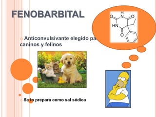 FENOBARBITAL
o Anticonvulsivante elegido para
caninos y felinos
o Se lo prepara como sal sódica
 