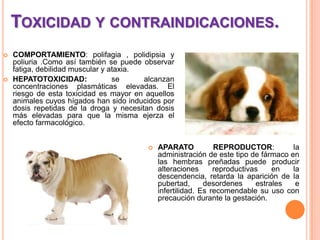TOXICIDAD Y CONTRAINDICACIONES.
 COMPORTAMIENTO: polifagia , polidipsia y
poliuria .Como así también se puede observar
fatiga, debilidad muscular y ataxia.
 HEPATOTOXICIDAD: se alcanzan
concentraciones plasmáticas elevadas. El
riesgo de esta toxicidad es mayor en aquellos
animales cuyos hígados han sido inducidos por
dosis repetidas de la droga y necesitan dosis
más elevadas para que la misma ejerza el
efecto farmacológico.
 APARATO REPRODUCTOR: la
administración de este tipo de fármaco en
las hembras preñadas puede producir
alteraciones reproductivas en la
descendencia, retarda la aparición de la
pubertad, desordenes estrales e
infertilidad. Es recomendable su uso con
precaución durante la gestación.
 
