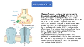 Algunos fármacos anticonvulsivos mejoran la
transmisión sináptica de GABA. En presencia de
GABA, el receptor GABAA (estructura en la parte
inferior izquierda) se abre, lo que permite un influjo de
Cl–, que a su vez aumenta la polarización de la
membrana. Algunos ASD (que se muestran en texto
azul) actúan reduciendo el metabolismo de GABA.
Otros actúan en el receptor GABAA, mejorando la
afluencia de Cl– en respuesta a GABA o alargando su
tiempo de permanencia sináptico al inhibir su
recaptación mediante GAT-1.
La gabapentina actúa presinapticamente para
promover la liberación de GABA; su blanco molecular
esta hoy en día bajo investigación. Moleculas de GABA.
GABA-T, GABA transaminasa; GAT-1, transportador
neuronal de GABA (SLC6A1).
 