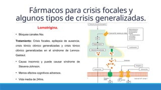 Anticonvulsivos Farmacología básica Katzung.pptx