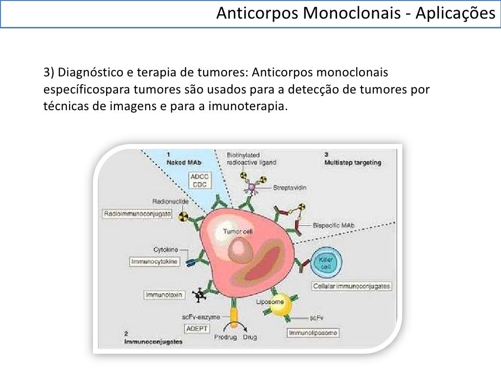 Anticorpo Monoclonal