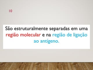 10
São estruturalmente separadas em uma
região molecular e na região de ligação
ao antígeno.
 