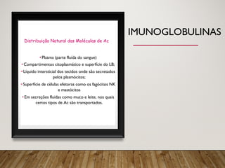 IMUNOGLOBULINAS
• Plasma (parte fluída do sangue)
• Compartimentos citoplasmático e superfície do LB;
• Líquido intersticial dos tecidos onde são secretados
pelos plasmócitos;
• Superfície de células efetoras como os fagócitos NK
e mastócitos
• Em secreções fluidas como muco e leite, nos quais
certos tipos de Ac são transportados.
Distribuição Natural das Moléculas de Ac
 