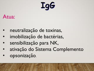 Atua:
• neutralização de toxinas,
• imobilização de bactérias,
• sensibilização para NK,
• ativação do Sistema Complemento
• opsonização.
IgG
 