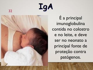 32
É a principal
imunoglobulina
contida no colostro
e no leite, e deve
ser no neonato a
principal fonte de
proteção contra
patógenos.
IgA
 