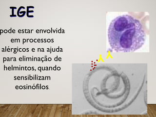 IGE
Y Y
pode estar envolvida
em processos
alérgicos e na ajuda
para eliminação de
helmintos, quando
sensibilizam
eosinófilos.
 