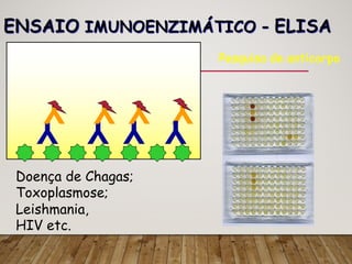 ENSAIO IMUNOENZIMÁTICO - ELISA
Y
Y
Y
Y
Y
Y
Y
Y
Pesquisa de anticorpo
Doença de Chagas;
Toxoplasmose;
Leishmania,
HIV etc.
 