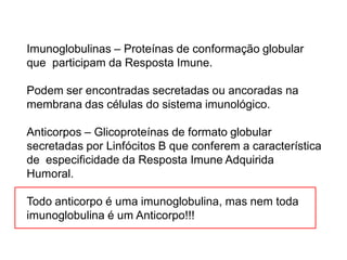 Imunoglobulinas – Proteínas de conformação globular
que participam da Resposta Imune.
Podem ser encontradas secretadas ou ancoradas na
membrana das células do sistema imunológico.
Anticorpos – Glicoproteínas de formato globular
secretadas por Linfócitos B que conferem a característica
de especificidade da Resposta Imune Adquirida
Humoral.
Todo anticorpo é uma imunoglobulina, mas nem toda
imunoglobulina é um Anticorpo!!!
 