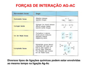 FORÇAS DE INTERAÇÃO AG-AC
Diversos tipos de ligações químicas podem estar envolvidas
ao mesmo tempo na ligação Ag-Ac
 