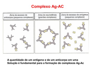 Complexo Ag-AC
A quantidade de um antígeno e de um anticorpo em uma
Solução é fundamental para a formação de complexos Ag-Ac
 