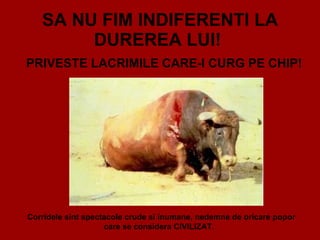 SA NU FIM INDIFERENTI LA DUREREA LUI!   PRIVESTE LACRIMILE CARE-I CURG PE CHIP!  Corridele sint spectacole crude si inumane, nedemne de oricare popor care se considera CIVILIZAT.  