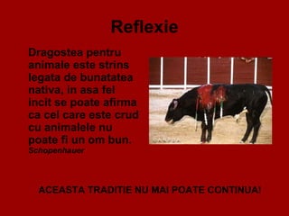 Reflexie Dragostea pentru animale este strins legata de bunatatea nativa, in asa fel incit se poate afirma ca cel care este crud cu animalele nu poate fi un om bun.  Schopenhauer   ACEASTA TRADITIE NU MAI POATE CONTINUA!  