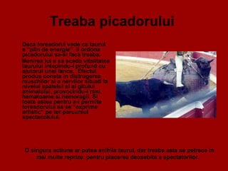 Treaba picadorului   Daca toreadorul vede ca taurul e “plin de energie”, ii ordona picadorului sa-si faca treaba.  Menirea lui e sa scada vitalitatea taurului intepindu-l profund cu ajutorul unei lance.  Efectul produs consta in distrugerea muschilor si a nervilor situati la nivelul spatelui si al gitului animalului, provocindu-i rani, hematoame si hemoragii. Si toate astea pentru a-i permite toreadorului sa se “exprime artistic” pe tot parcursul spectacolului.    O singura actiune ar putea anihila taurul, dar treaba asta se petrece in mai multe reprize, pentru placerea deosebita a spectatorilor.  