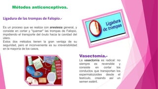 Métodos anticonceptivos.
Ligadura de las trompas de Falopio.-
Es un proceso que se realiza con anestesia general, y
consiste en cortar y "quemar" las trompas de Falopio,
impidiendo el transporte del óvulo hacia la cavidad del
útero.
Estos dos métodos tienen la gran ventaja de su
seguridad, pero el inconveniente es su irreversibilidad
en la mayoría de los casos.
Vasectomía.-
La vasectomía es radical: no
siempre es reversible y
consiste en cortar los
conductos que transportan los
espermatozoides desde el
testículo, creando así un
semen estéril.
 