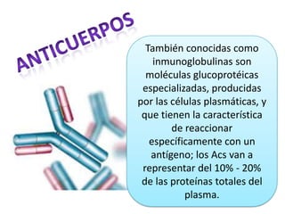 También conocidas como
inmunoglobulinas son
moléculas glucoprotéicas
especializadas, producidas
por las células plasmáticas, y
que tienen la característica
de reaccionar
específicamente con un
antígeno; los Acs van a
representar del 10% - 20%
de las proteínas totales del
plasma.

 
