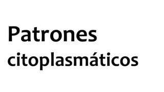 Patrones
citoplasmáticos
 