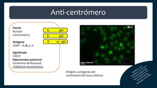 Patrón
Nuclear
Centromérico
Antígeno
CENP – A, B, C, D
Significado
CREST
Hipertensión pulmonar
Fenómeno de Raynaud
Utilidad en el pronóstico
S. 44%
E. 93%
P. 22 - 36%
Anti-centrómero
Dirigido a antígenos del
centrómero del huso mitótico
 